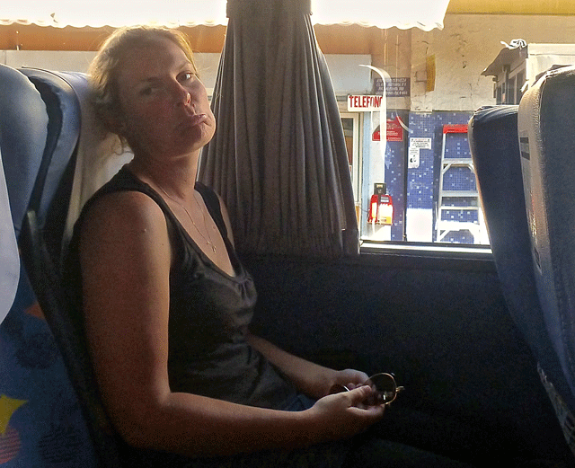 If you're unsure of what the inside of a Chilean bus looks like, here's Mel sitting in one on the way to Santiago