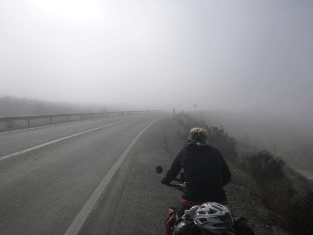 Obligatory photo of the back of Mel cycling somewhere - this time into fog